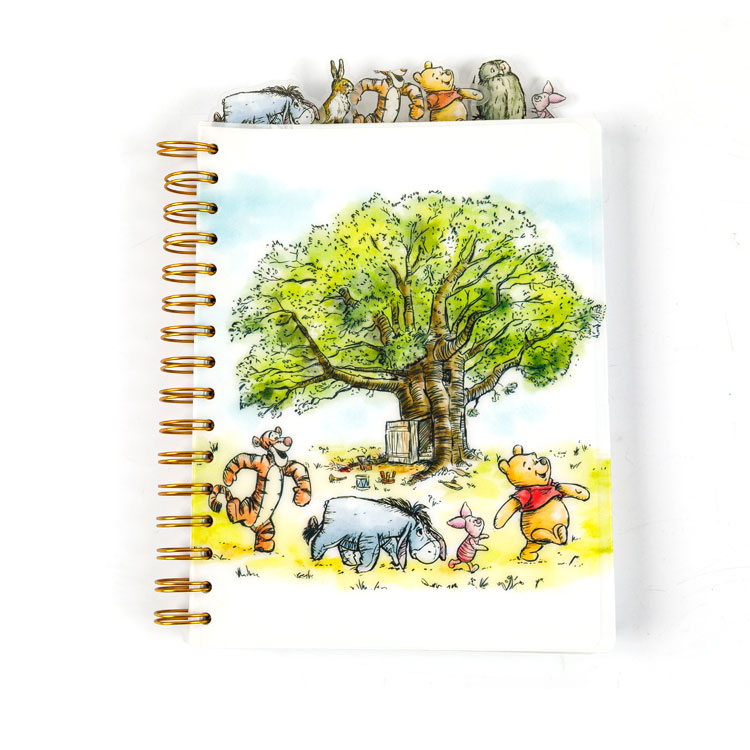 Spiral Notebooks